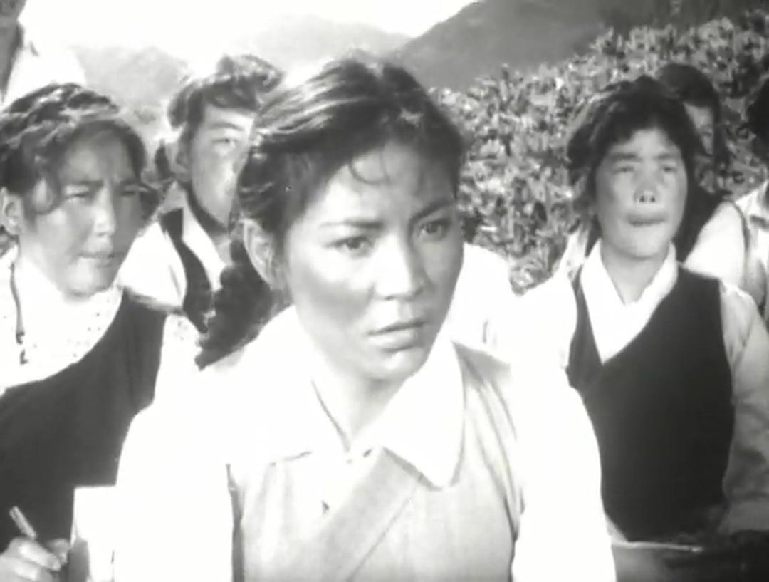 《农奴》全集-高清电影完整版-在线观看