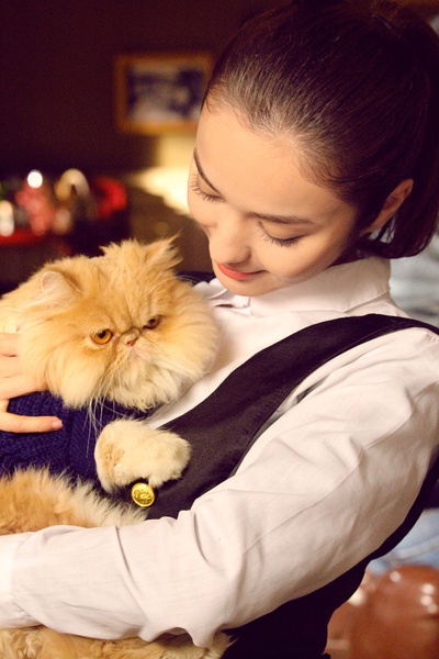 《夜魔人(2016)》全集-高清电影完整版-在线观