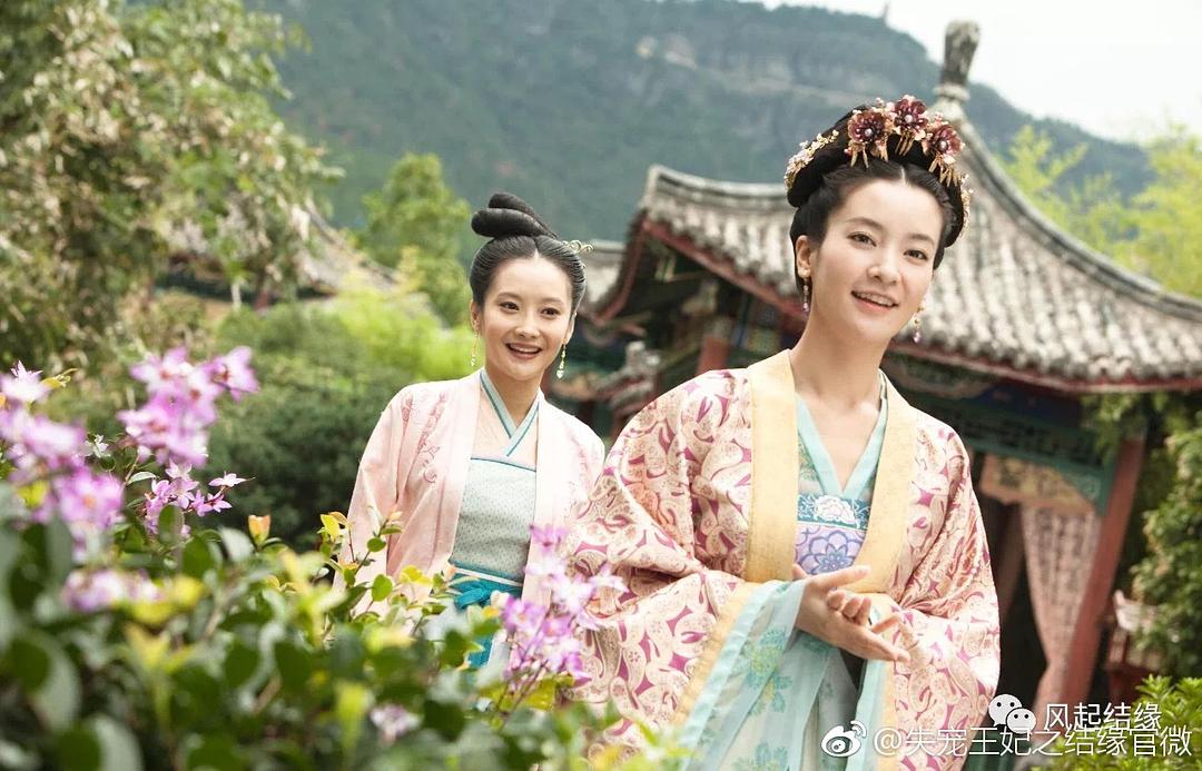 《失宠王妃之结缘》全集-电视剧