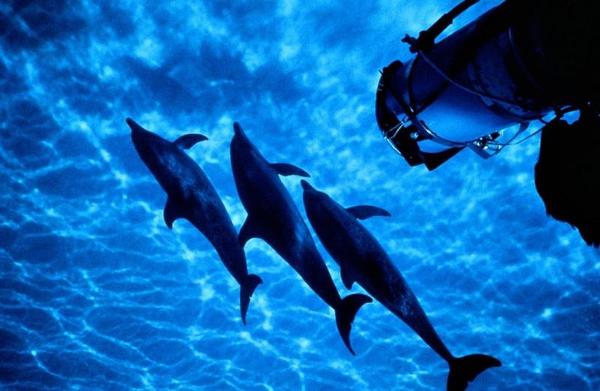 《亚特兰蒂斯》-高清电影-在线观看-搜狗影视