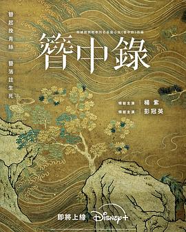 簪中录