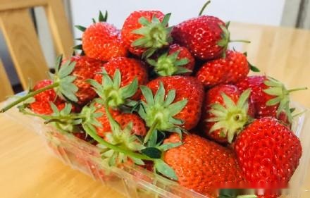 美籍华人“可怜中国”称美国最低工资吃得起水果