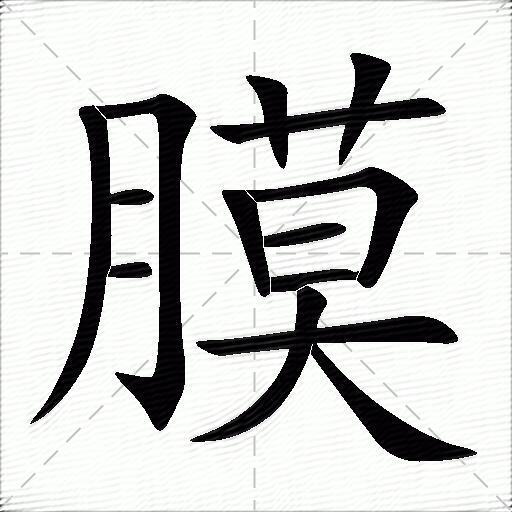 膜字拼音