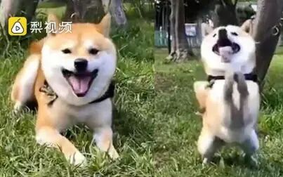 item.title