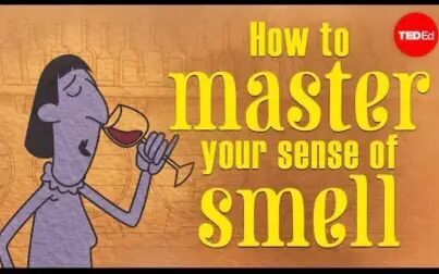 [图]【Ted-ED】如何管理你的嗅觉 How To Master Your Sense Of Smell