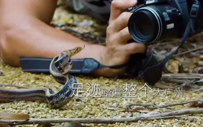 [图]生物多样性之广州-中国生物视频年赛短视频组