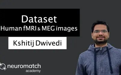 [图]Projects Dataset: Human fMRI and MEG responses to images