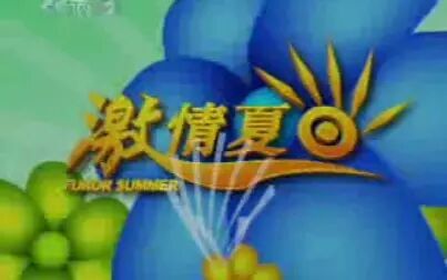 [图]2007年CCTV-2《激情夏日》暑期特别节目片头