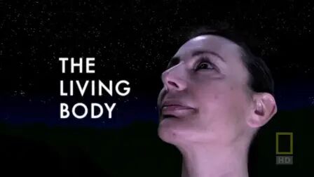 [图]人体内旅行 Inside the Living Body 英文字幕版 学英语