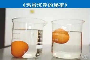 [图]幼儿园大班科学《鸡蛋沉浮的秘密》视频1优质课视频公开课教学视频