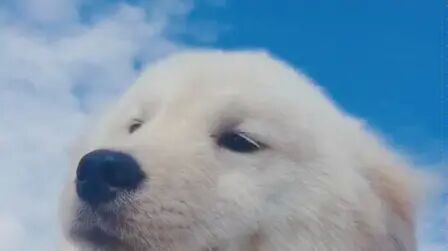 item.title