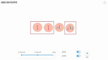 [图]【生物】减数分裂中的异常