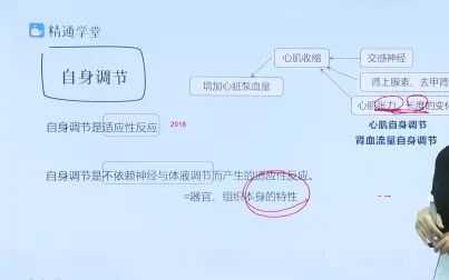 [图]河南专升本生理学