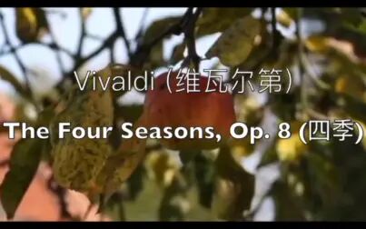 [图]【维瓦尔第】四季 Vivaldi - The Four Seasons, Op.8