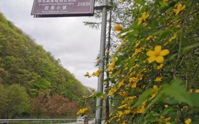 [图]绿水青山 红歌声声