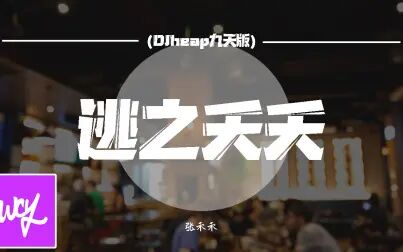 [图]张禾禾 - 逃之夭夭 (DJheap九天版)「你逃之夭夭 不知到哪儿去找 留...