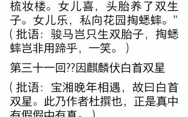 [图]癸酉本石头记前八十回批语摘录04