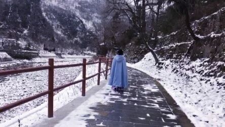 [图]红梅白雪知