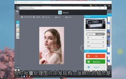 [图]Watermark Software-图片水印批量处理软件