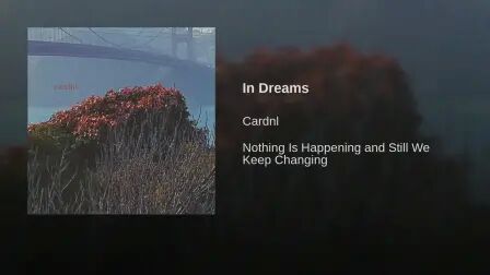 [图]In Dreams - Cardnl