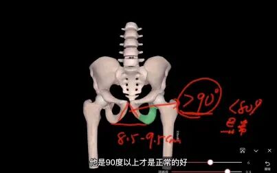 [图]妇产科常见骨盆经线