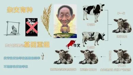 [图]【生物】常见育种方法