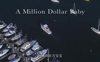 [图]BBC 富贵海獭 Sea Otters A Million Dollar Baby (2010).