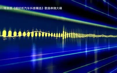 [图]DJ高音质《超好听汽车抖音精选》歌曲串烧大碟