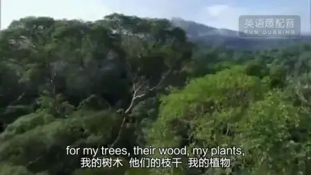 [图]我是雨林Rainforest-英语趣配音