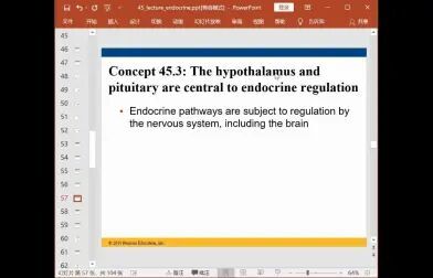 [图]生物竞赛之动物生理学之人体重要内分泌腺和激素