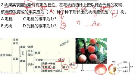 [图]1.1.3上节课纠错+考练讲评