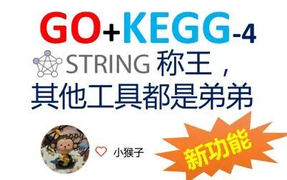 [图]【生信分析-12】STRING:富集分析工具王者