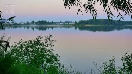 [图]【白噪音】【学习向】【放松】坐在湖边倾听大自然的声音丨大自然实景