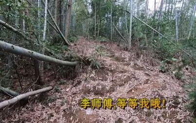 [图]深山寻茶记