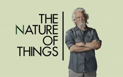 [图]【CBC】事物的本质 系列合集 The Nature Of Things Series