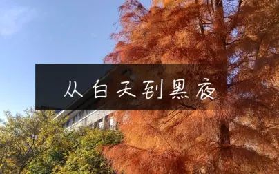 [图]从白天到黑夜