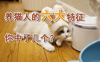 [图]养猫人的六大特征,你中了几个?