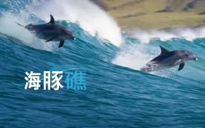 [图]海豚礁 4K HDR 中英字幕 Dolphin Reef