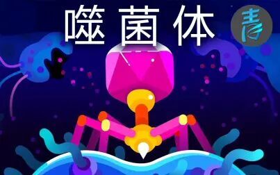 [图]【Kurzgesagt】世界上最致命的存在——噬菌体@青知字幕组