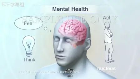 [图]Brain and Mental Health 大脑与心理健康【EF字幕组】