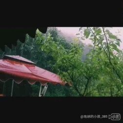 [图]尺素难寄_林间雨声