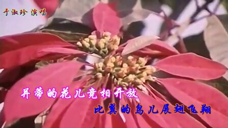 [图]于淑珍【我们的生活充满阳光】电影《甜蜜的事业》插曲