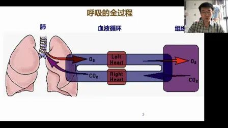 [图]生理学 III 呼吸 上