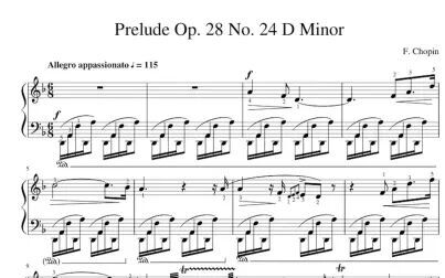 [图]【固态音乐】肖邦24首前奏曲:d小调前奏曲 Op.28-24