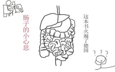 [图]一些肠子的冷知识——读《肠子的小心思》