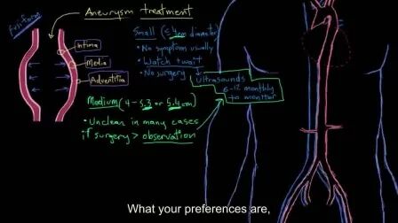 [图]【搬运KhanAcademy】循环系统疾病——Aneurysm treatment