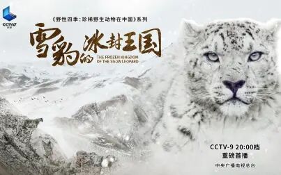 [图]雪豹的冰封王国 The Frozen Kingdom of The Snow Leopard