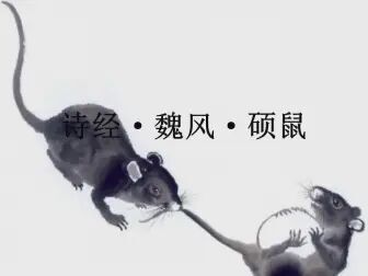 [图]【诗词】诗经 魏风 硕鼠。硕鼠硕鼠,无食我黍。