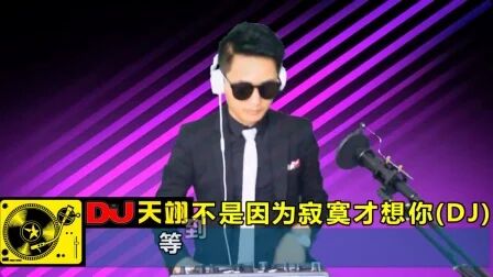 [图]一首歌曲《不是因为寂寞才想你》DJ版, 好听分享!