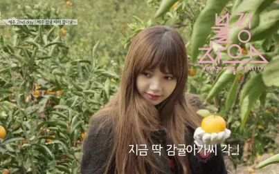 [图]【完整版】BLACKPINK HOUSE 中字合集